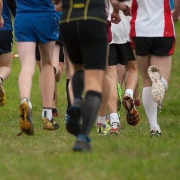 Deutsche Crosslauf-Meisterschaften stehen an (Foto: privat).